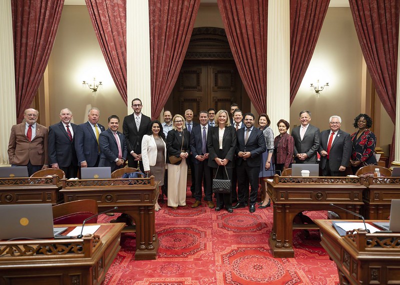 Group of people standing in a line inside an ornate city hall chamber