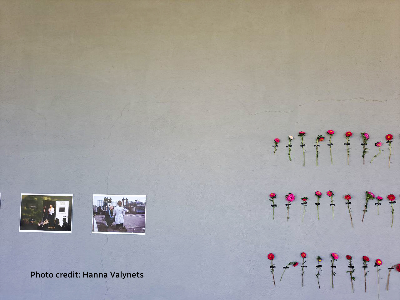 wall with photos and roses
