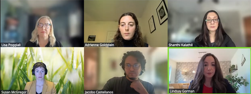 Photograph of zoom convening