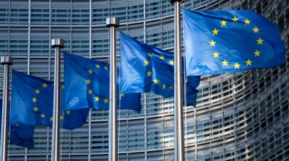 EU Flags