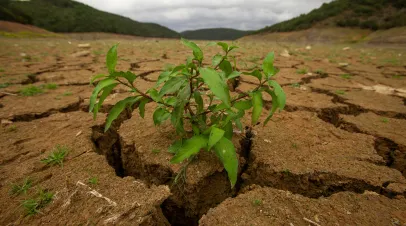 Waterless dam in a dry and drought-affected landscape.