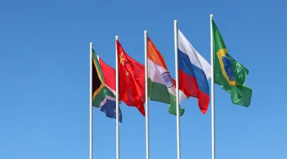 BRICS Flags