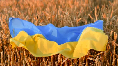 Ukraine flag in field 