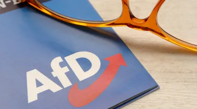 AFD German political flyer