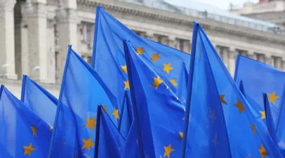 A cluster of EU flags being flown in front of a classical building
