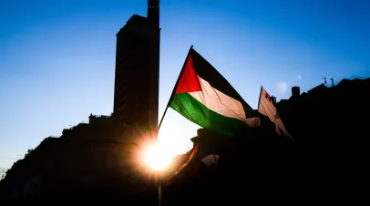 Palestinian flag being held up in front of some dark buildings