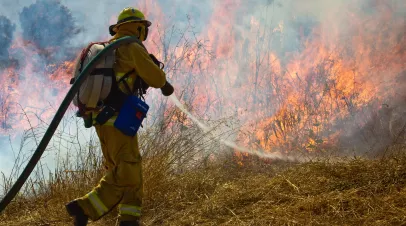 Fireman battling a brush fire
