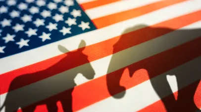Shadow of an elephant and a donkey on an American flag