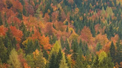 A Model for Policy Advocacy and Public Mobilization in Environmental Governance