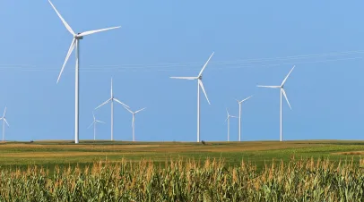 wind turbines in the field