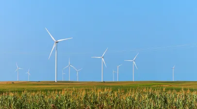 fields and wind turbines