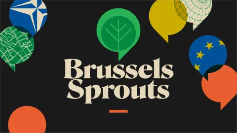 Brussels Sprouts podcast logo
