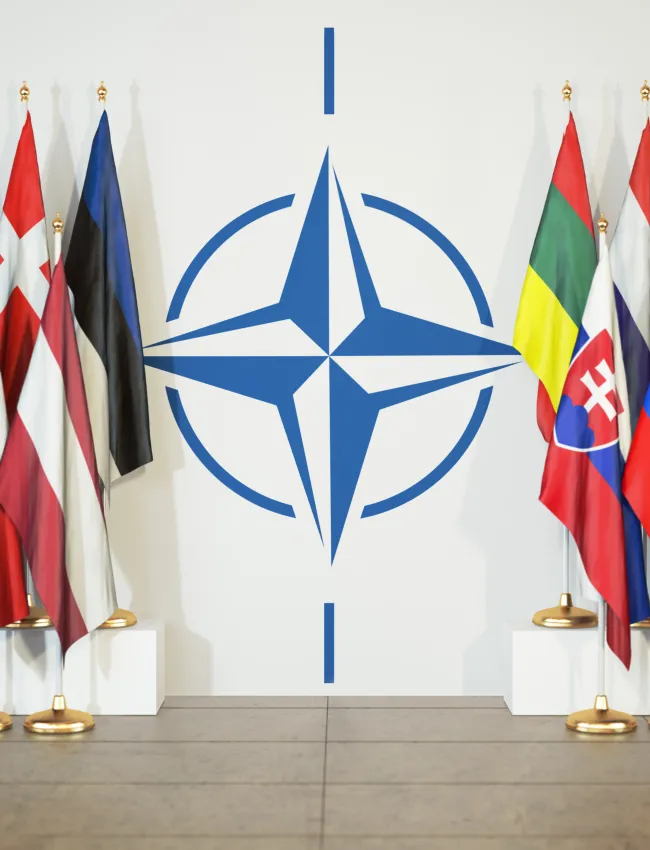 NATO Flags