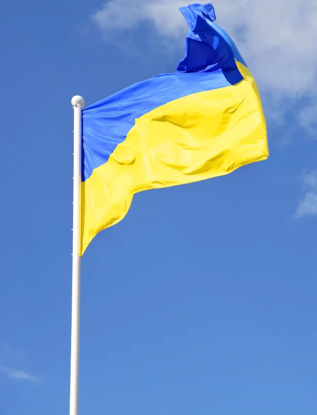 Ukraine Flag