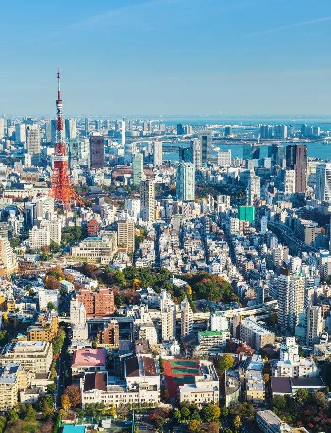 Helicopter view of Tokyo