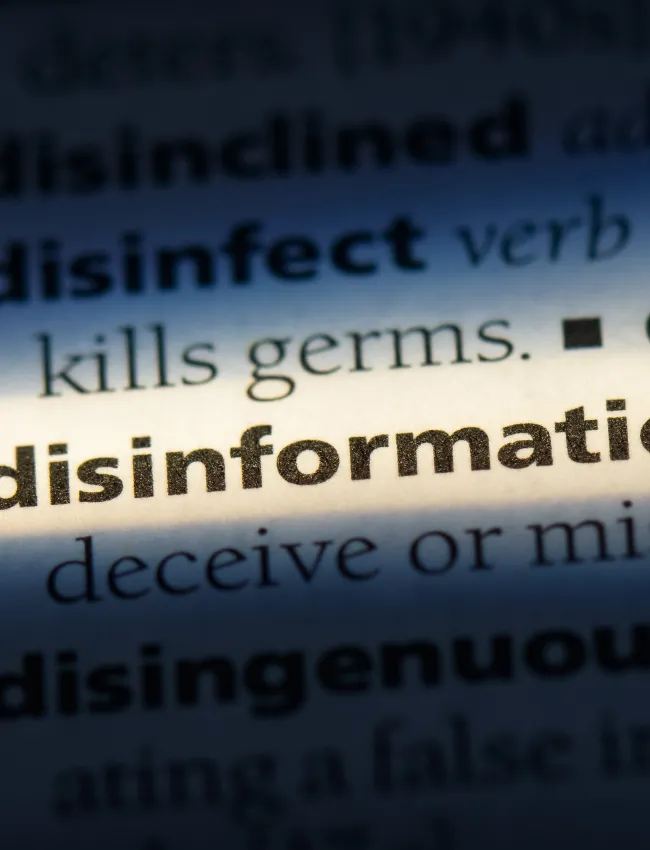 disinformation definition in a dictionary