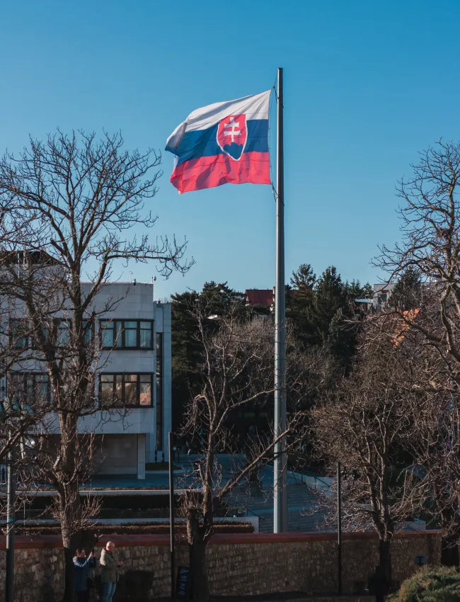 Slovakia Flag