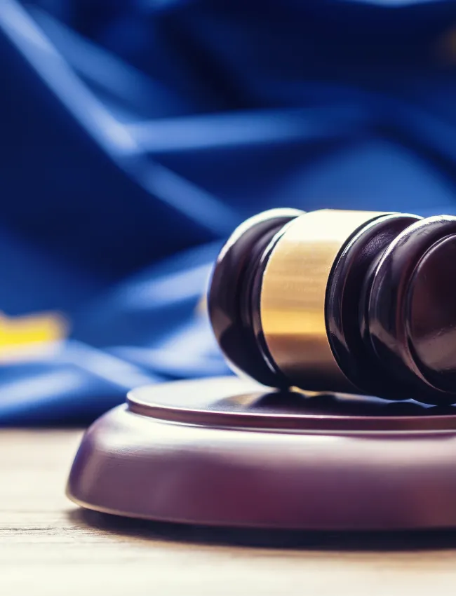 Mushrooming Anti-NGO Legislation in EU Member States