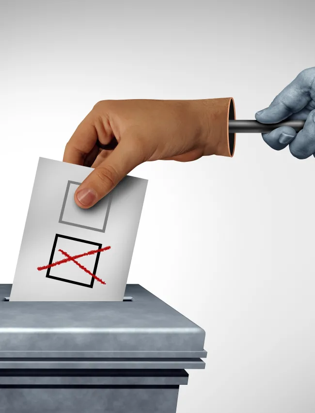 Phantom Voters: Organized Voter Migration and Electoral Integrity in the Western Balkans