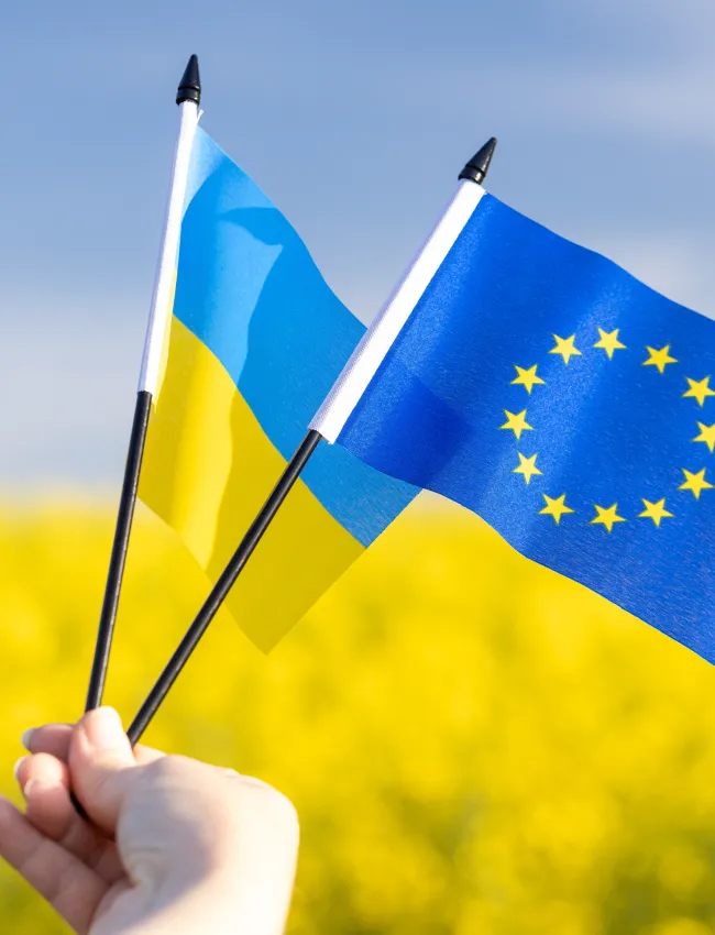 Ukraine EU Flags
