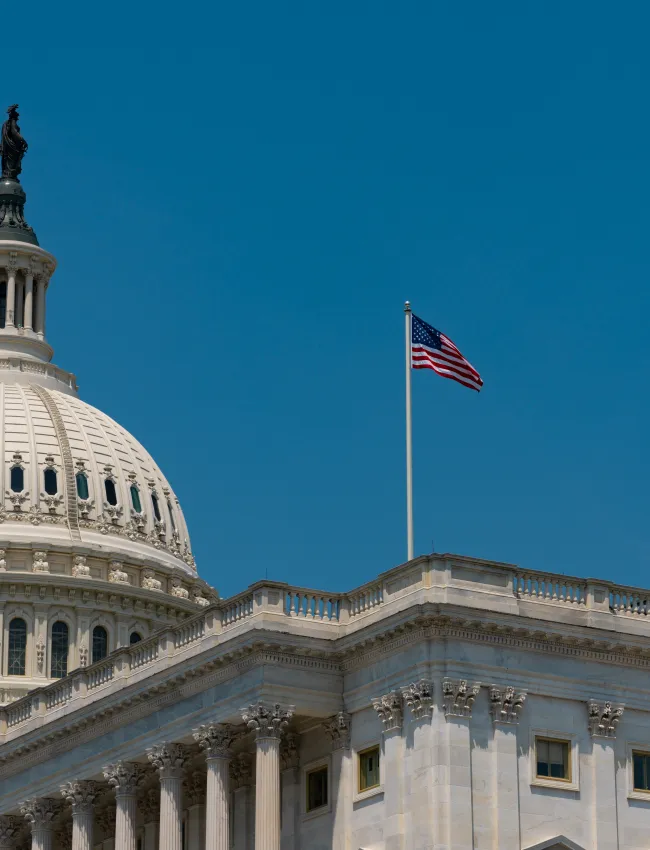 US Congress, Capitol. Washington DC skyline featuring the Capitol. Senate and House USA building. USA government seat in District of Columbia. The Capitol building. Capital of democracy.
