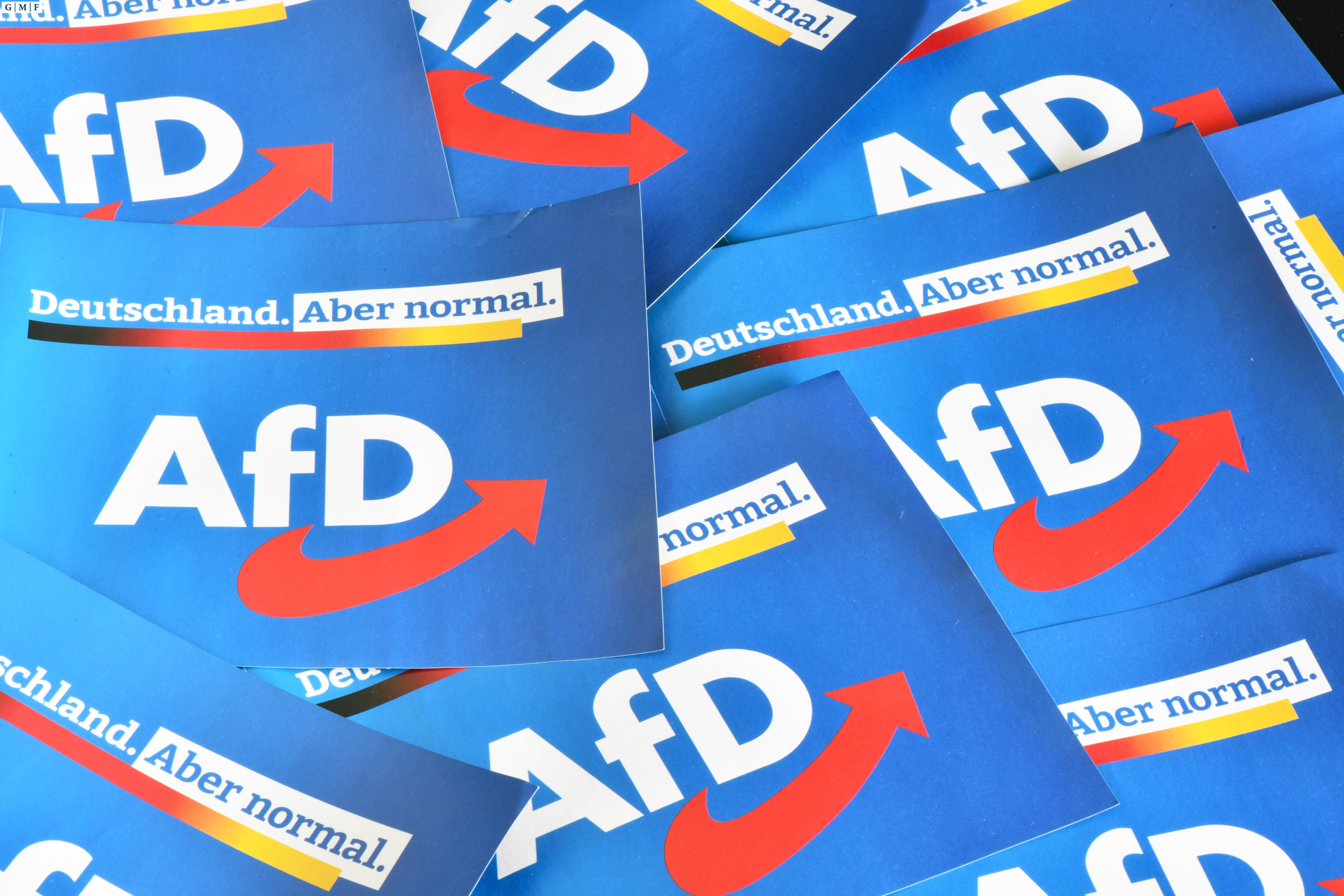 Germany bewildered about how to halt the rise of the AfD | German ...