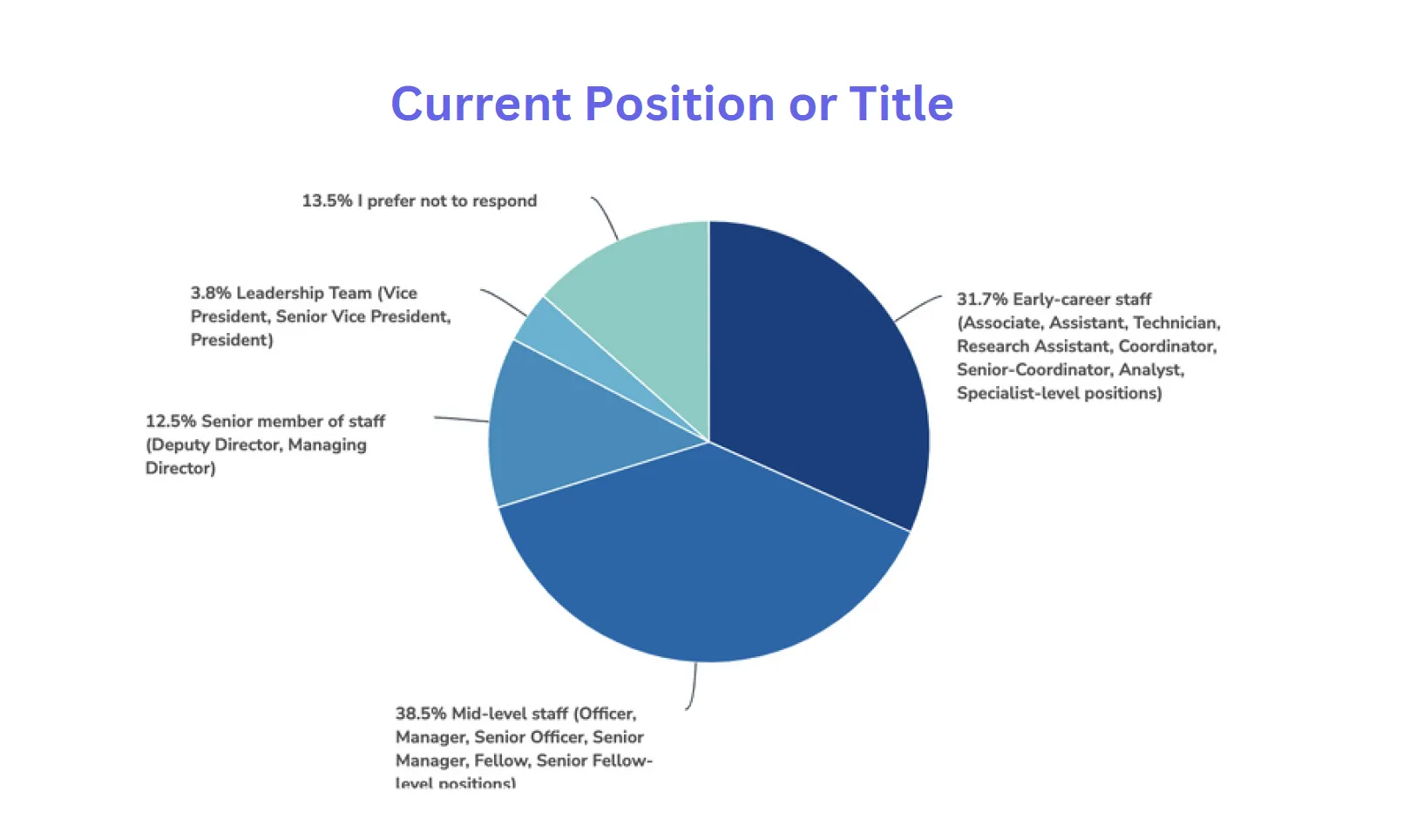 2024 DEI Position/Title